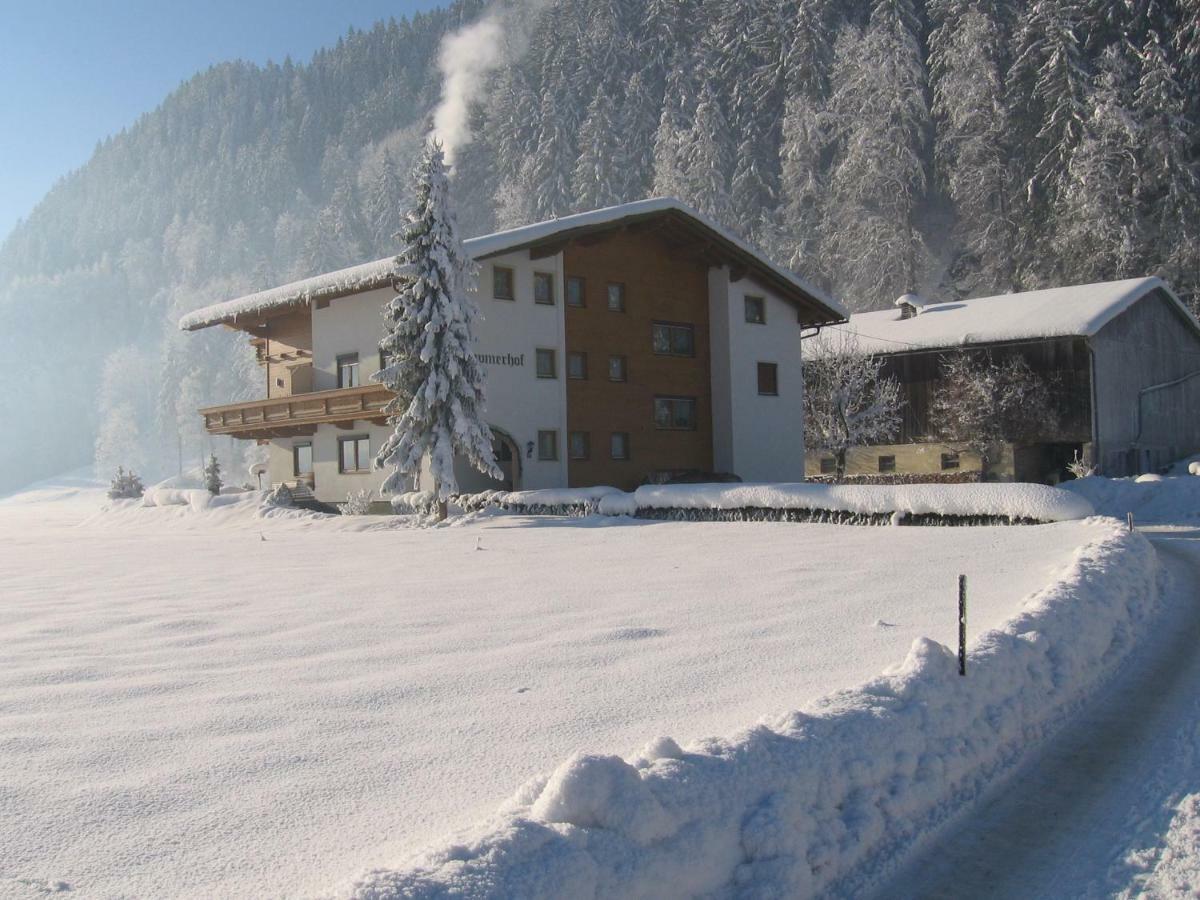 Appartement Lippnerhof à Aschau Im Zillertal Extérieur photo